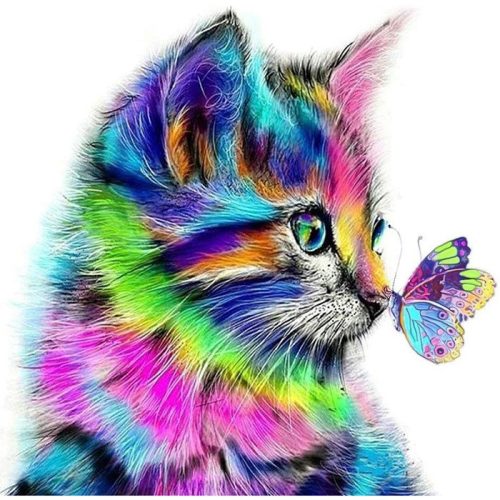 Cica Pillangóval 40x50 számok szerinti festés kép