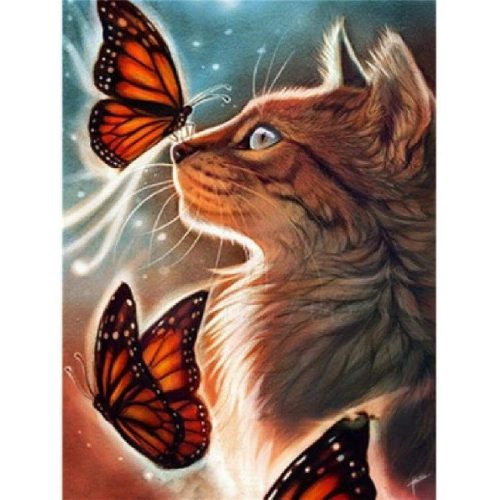 Cica Pillangókkal 40x50 számok szerinti festés kép