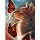 Cica Pillangókkal 40x50 számok szerinti festés kép