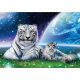 Fehér Tigrisek 40x50 számok szerinti festés kép
