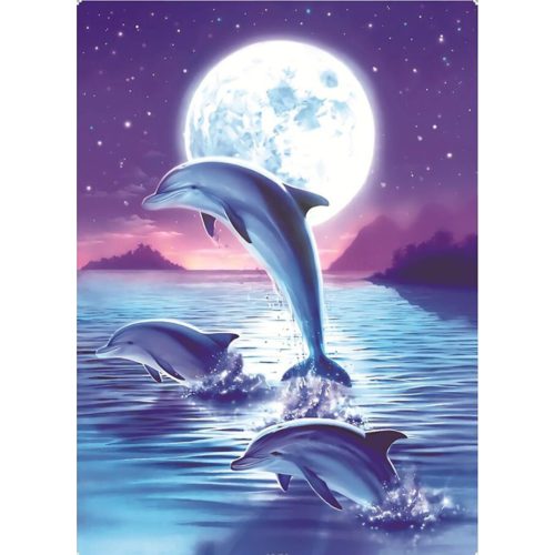 Delfinek 40x50 számok szerinti festés kép