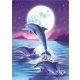 Delfinek 40x50 számok szerinti festés kép