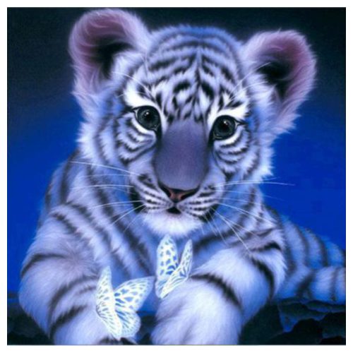 Tigris kölyök 40x50 számok szerinti festés kép