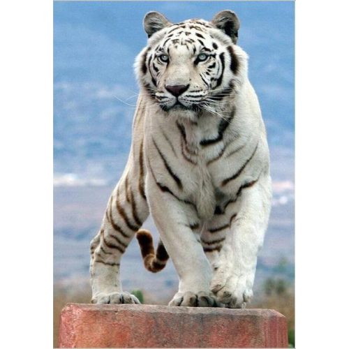 Fehér Tigris 2 30x40 cm 5D kör alakú gyémántszemes kirakó
