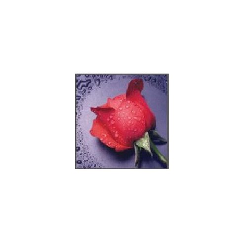 Vörös Rózsa 30x40 cm 5D kör alakú gyémántszemes kirakó