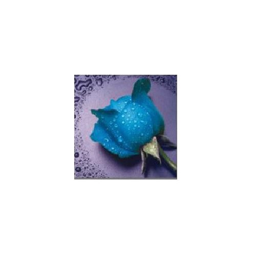 Kék Rózsa 30x40 cm 5D kör alakú gyémántszemes kirakó